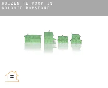 Huizen te koop in  Kolonie Bomsdorf