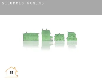 Selommes  woning