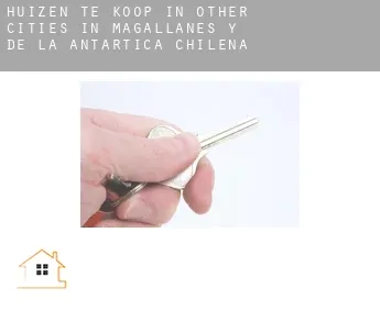 Huizen te koop in  Other cities in Magallanes y de la Antartica Chilena