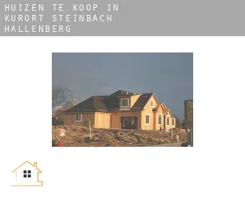 Huizen te koop in  Kurort Steinbach-Hallenberg