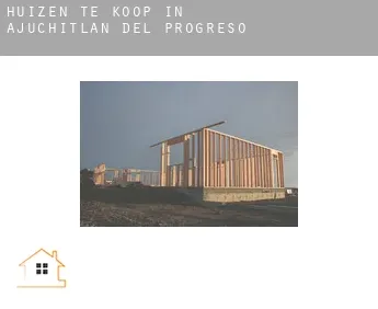 Huizen te koop in  Ajuchitlán del Progreso