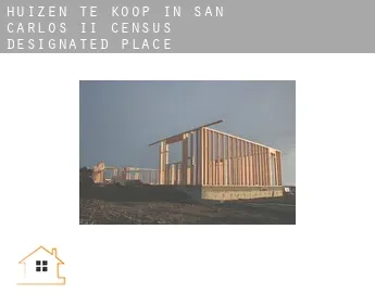 Huizen te koop in  San Carlos II