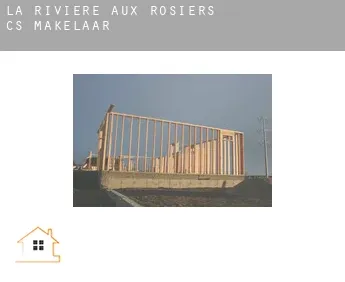 Rivière-aux-Rosiers (census area)  makelaar