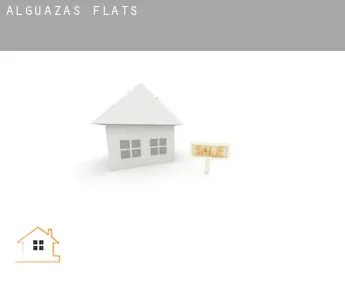 Alguazas  flats