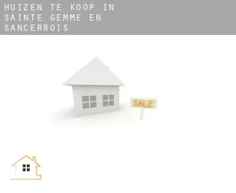 Huizen te koop in  Sainte-Gemme-en-Sancerrois