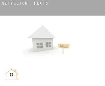 Nettleton  flats