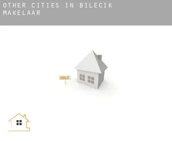 Other cities in Bilecik  makelaar