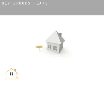 Uly Brooks  flats