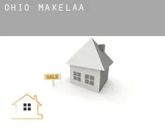 Ohio makelaar