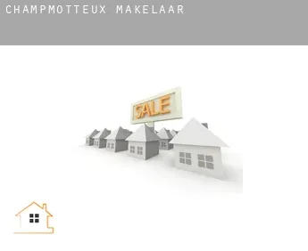 Champmotteux  makelaar