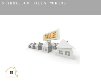 Shinnecock Hills  woning