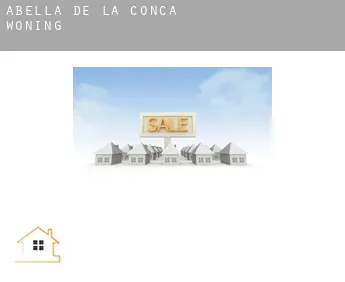 Abella de la Conca  woning