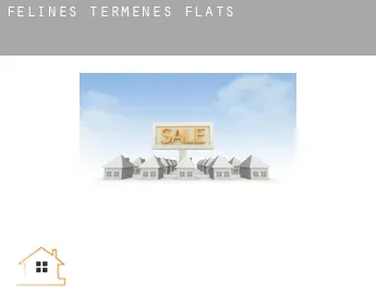 Félines-Termenès  flats