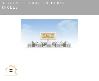 Huizen te huur in  Cedar Knolls