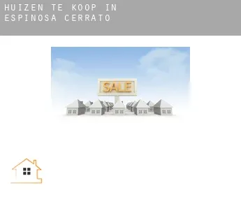 Huizen te koop in  Espinosa de Cerrato