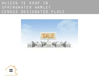 Huizen te koop in  Springwater Hamlet