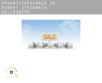 Vakantiewoningen in  Kurort Steinbach-Hallenberg