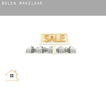 Bolen  makelaar