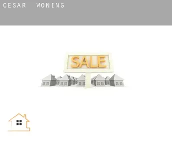 César  woning