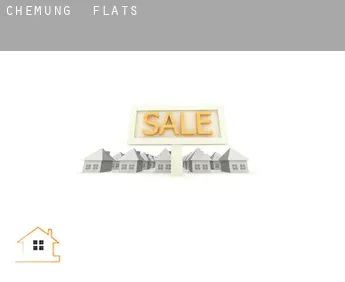 Chemung  flats