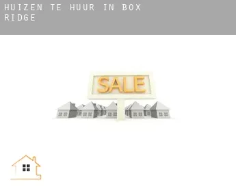 Huizen te huur in  Box Ridge