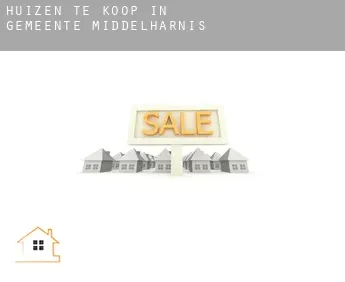 Huizen te koop in  Gemeente Middelharnis