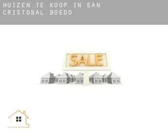 Huizen te koop in  San Cristóbal de Boedo