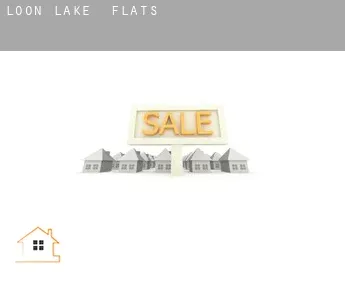 Loon Lake  flats