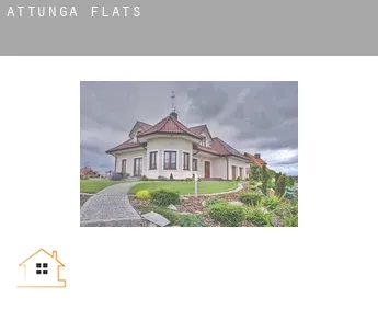 Attunga  flats