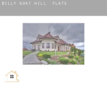Billy Goat Hill  flats