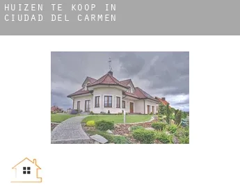 Huizen te koop in  Ciudad del Carmen