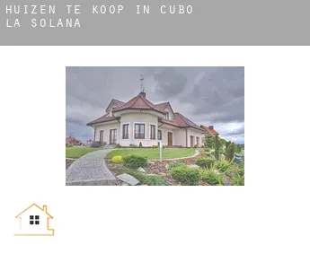 Huizen te koop in Cubo de la Solana