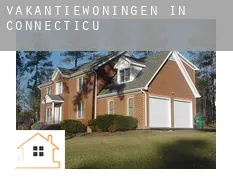 Vakantiewoningen in Connecticut