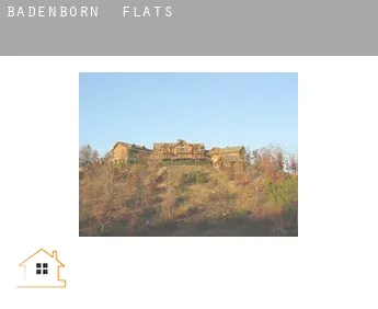 Badenborn  flats