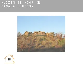 Huizen te koop in  Cañada Juncosa