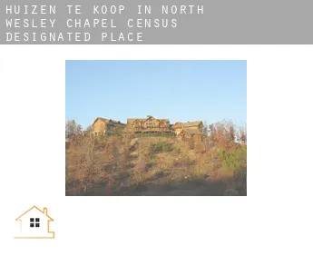 Huizen te koop in  North Wesley Chapel