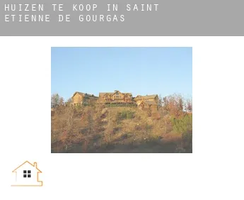 Huizen te koop in  Saint-Étienne-de-Gourgas