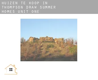 Huizen te koop in  Thompson Draw Summer Homes Unit One