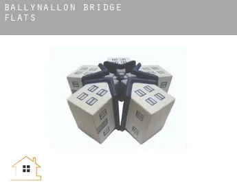 Ballynallon Bridge  flats