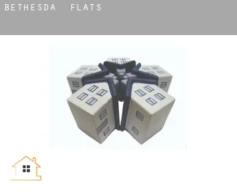 Bethesda  flats