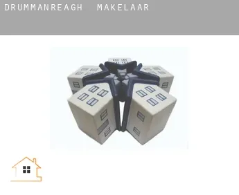 Drummanreagh  makelaar