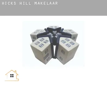 Hicks Hill  makelaar