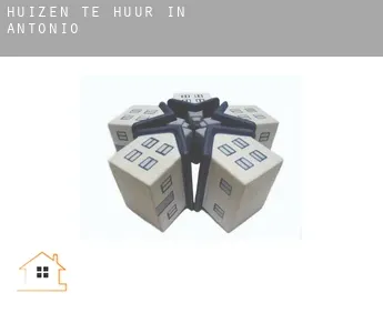 Huizen te huur in  Antonio