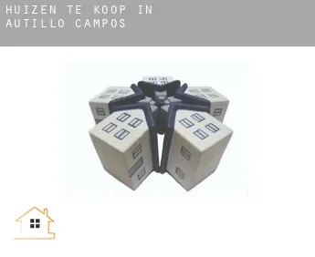Huizen te koop in  Autillo de Campos