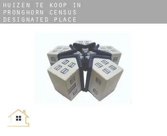 Huizen te koop in  Pronghorn