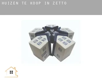 Huizen te koop in  Zetto