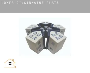 Lower Cincinnatus  flats