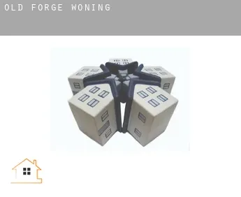 Old Forge  woning