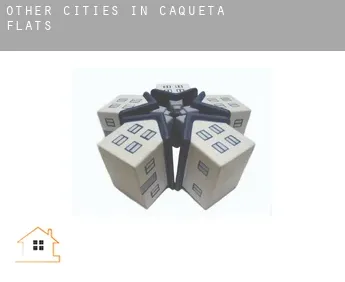 Other cities in Caqueta  flats