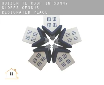 Huizen te koop in  Sunny Slopes